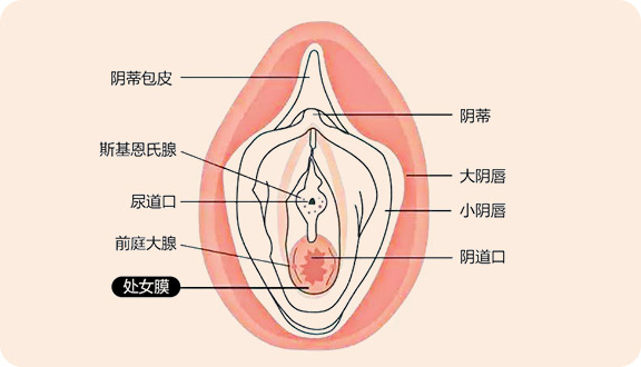 通州处女膜修补_通州私密整形_北京京通医院妇科