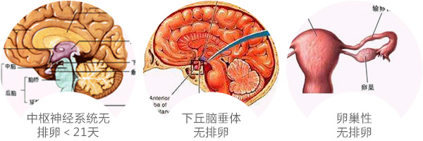 北京京通医院妇科排卵监测