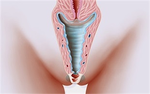 通州阴道紧缩_通州私密整形_北京京通医院妇科